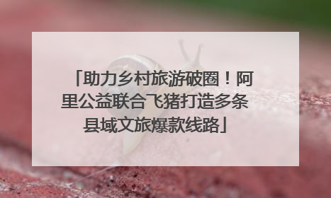 助力乡村旅游破圈！阿里公益联合飞猪打造多条县域文旅爆款线路