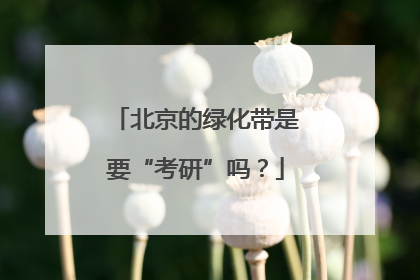 北京的绿化带是要“考研”吗？