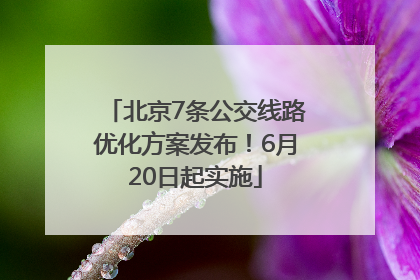 北京7条公交线路优化方案发布！6月20日起实施