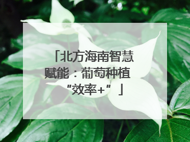 北方海南智慧赋能：葡萄种植“效率+”