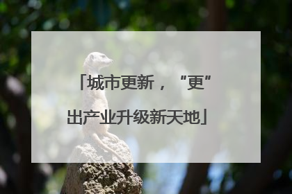 城市更新，“更”出产业升级新天地