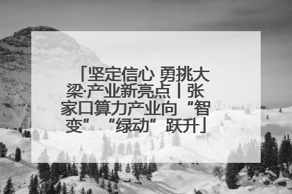 坚定信心 勇挑大梁·产业新亮点丨张家口算力产业向“智变”“绿动”跃升