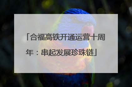 合福高铁开通运营十周年：串起发展珍珠链