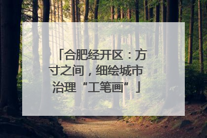合肥经开区：方寸之间，细绘城市治理“工笔画”