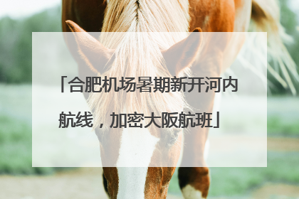 合肥机场暑期新开河内航线，加密大阪航班
