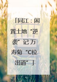 同江：闲置土地“逆袭”记 万寿菊“C位出道”