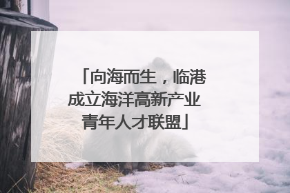 向海而生，临港成立海洋高新产业青年人才联盟