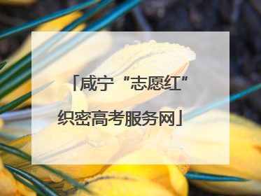 咸宁“志愿红”织密高考服务网