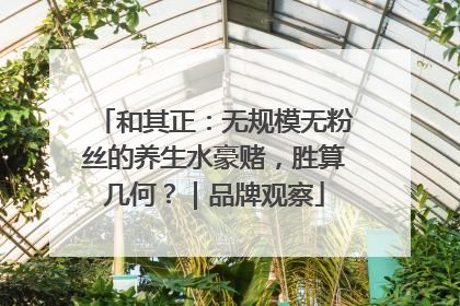 和其正：无规模无粉丝的养生水豪赌，胜算几何？｜品牌观察