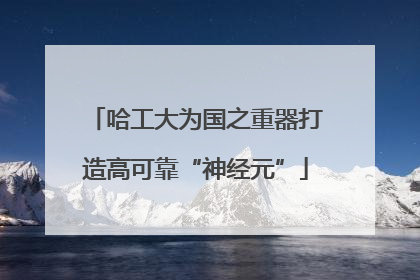 哈工大为国之重器打造高可靠“神经元”