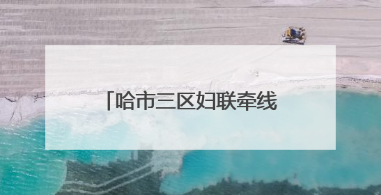 哈市三区妇联牵线青年联谊 助力后亚冬谱冰雪奇缘