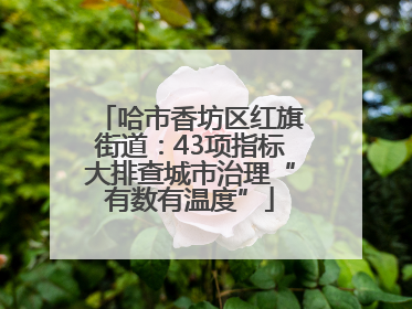 哈市香坊区红旗街道：43项指标大排查城市治理“有数有温度”