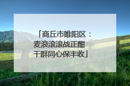 商丘市睢阳区：麦浪滚滚战正酣 干群同心保丰收