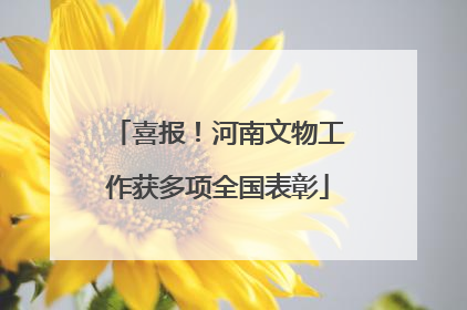 喜报！河南文物工作获多项全国表彰