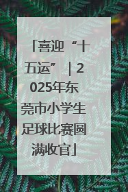 喜迎“十五运”｜2025年东莞市小学生足球比赛圆满收官
