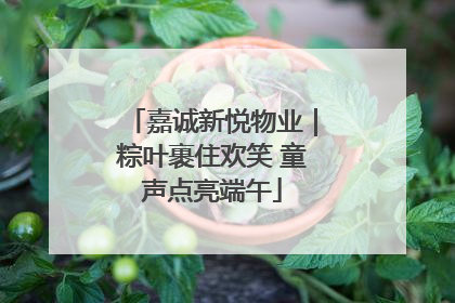 嘉诚新悦物业｜粽叶裹住欢笑 童声点亮端午