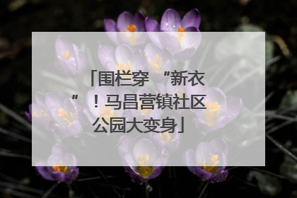 围栏穿 “新衣”！马昌营镇社区公园大变身