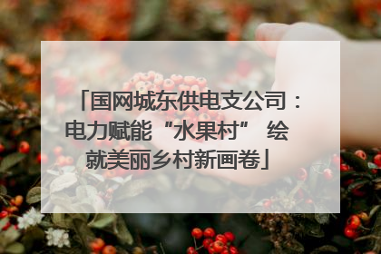 国网城东供电支公司：电力赋能“水果村” 绘就美丽乡村新画卷