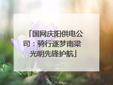 国网庆阳供电公司：骑行逐梦南梁 光明先锋护航