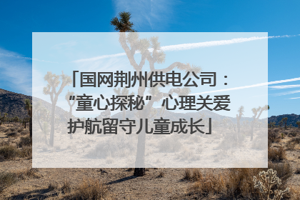 国网荆州供电公司：“童心探秘”心理关爱护航留守儿童成长