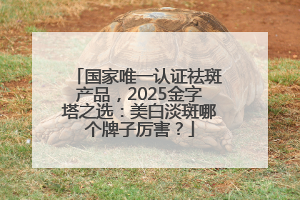 国家唯一认证祛斑产品，2025金字塔之选：美白淡斑哪个牌子厉害？