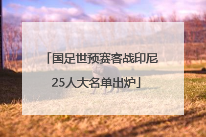 国足世预赛客战印尼25人大名单出炉