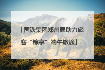 国铁集团郑州局助力旅客“粽享”端午旅途