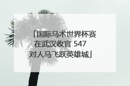 国际马术世界杯赛在武汉收官 547对人马飞跃英雄城