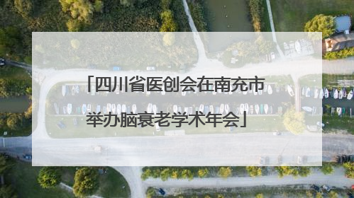 四川省医创会在南充市举办脑衰老学术年会