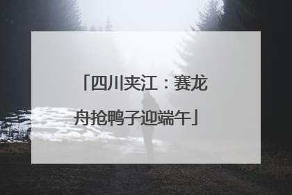 四川夹江：赛龙舟抢鸭子迎端午