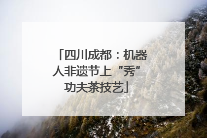 四川成都：机器人非遗节上“秀”功夫茶技艺