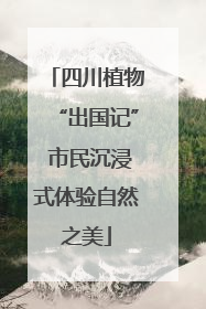 四川植物“出国记” 市民沉浸式体验自然之美