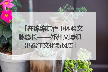在绵绵粽香中体验文脉悠长——郑州文博织出端午文化新风景