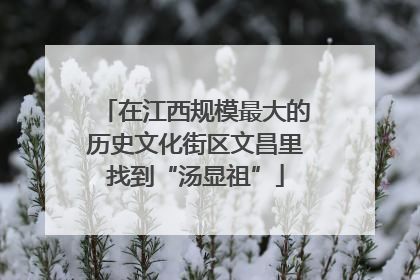 在江西规模最大的历史文化街区文昌里找到“汤显祖”