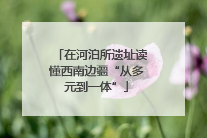 在河泊所遗址读懂西南边疆“从多元到一体”