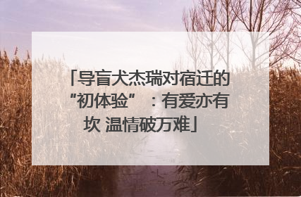 导盲犬杰瑞对宿迁的“初体验”：有爱亦有坎 温情破万难