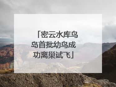 密云水库鸟岛首批幼鸟成功离巢试飞