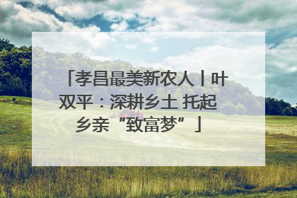 孝昌最美新农人丨叶双平：深耕乡土 托起乡亲“致富梦”