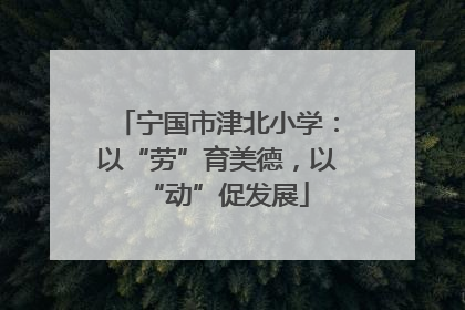 宁国市津北小学：以“劳”育美德，以“动”促发展