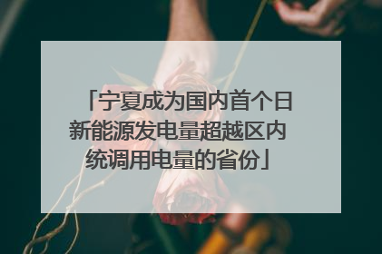 宁夏成为国内首个日新能源发电量超越区内统调用电量的省份