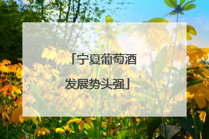 宁夏葡萄酒发展势头强