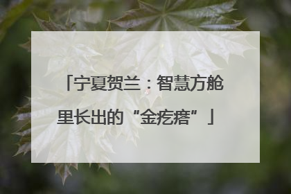 宁夏贺兰：智慧方舱里长出的“金疙瘩”
