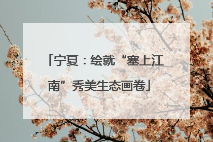 宁夏：绘就“塞上江南”秀美生态画卷