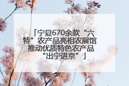 宁夏670余款“六特”农产品亮相农展馆 推动优质特色农产品“出宁进京”
