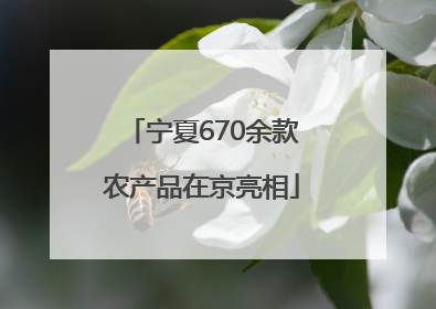 宁夏670余款农产品在京亮相