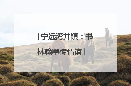 宁远湾井镇：书林翰墨传情谊
