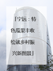 宁远：特色瓜果丰收绘就乡村振兴新图景