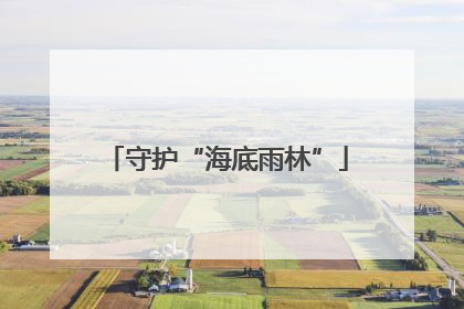守护“海底雨林”