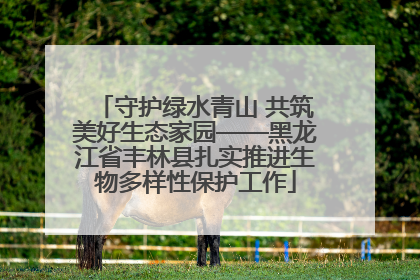 守护绿水青山 共筑美好生态家园——黑龙江省丰林县扎实推进生物多样性保护工作