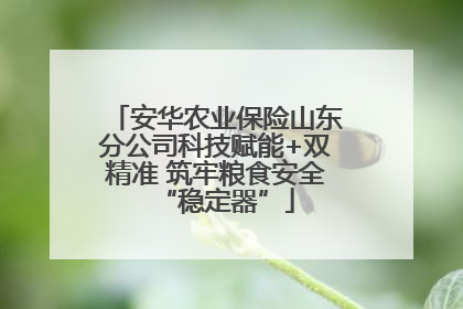 安华农业保险山东分公司科技赋能+双精准 筑牢粮食安全“稳定器”